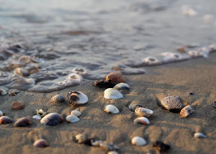 Beachfront Modern Flat With Sea View Апартаменти